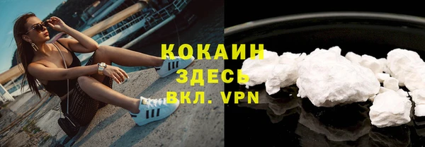 шишки Куйбышев