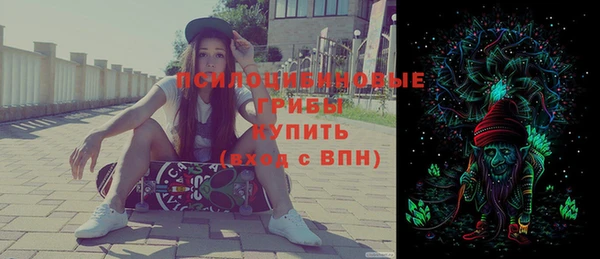 a pvp Кулебаки