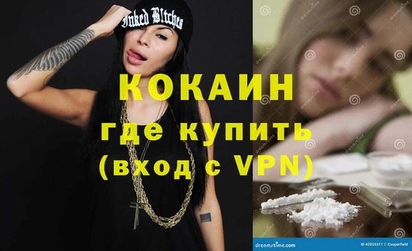 шишки Куйбышев