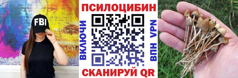 Галлюциногенные грибы Psilocybe  Купить закладки  Анадырь 